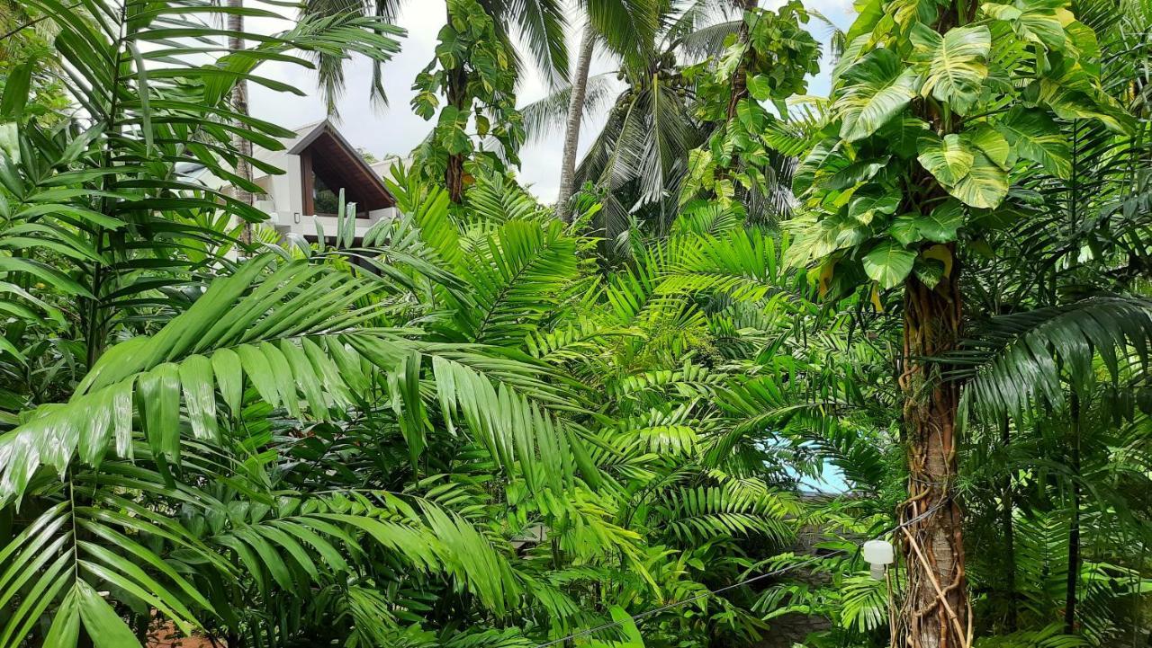 Nirmala Villa Habaraduwa Central Exteriör bild